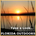 florida outdoors